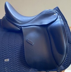 ADAM ELLIS DRESSAGE 18''