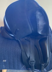 ADAM ELLIS DRESSAGE 18''